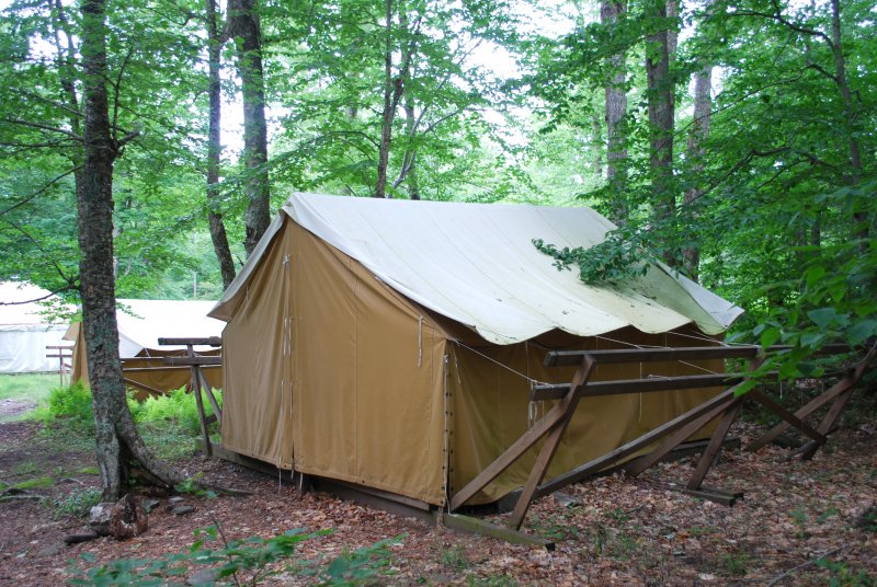 Sequoia Village Platform Tent