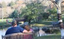 Families love relaxing by Reflection Pond.