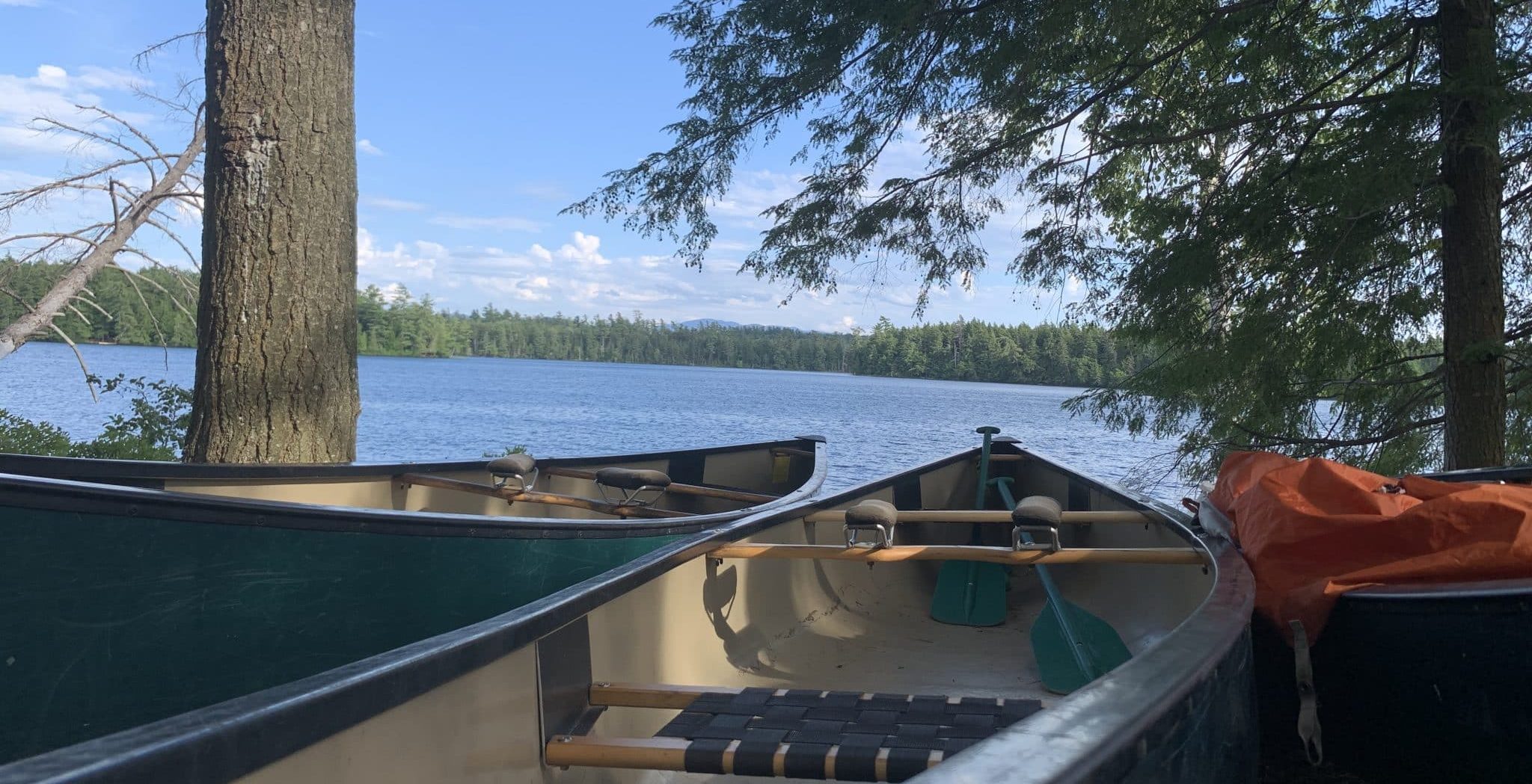 Adirondack Paddler Canoes